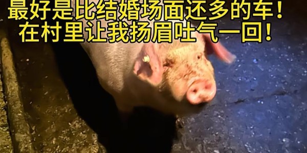 五星视频-央视车被堵外面，人民日报下场，白衬衫守护，呆呆成为历史第一人